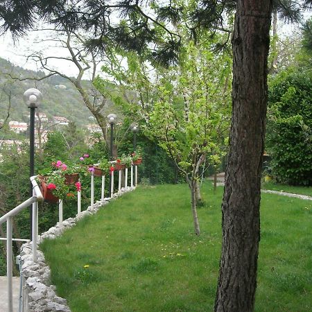 B&B La Culla Di Triest Zewnętrze zdjęcie