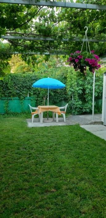 B&B La Culla Di Triest Zewnętrze zdjęcie